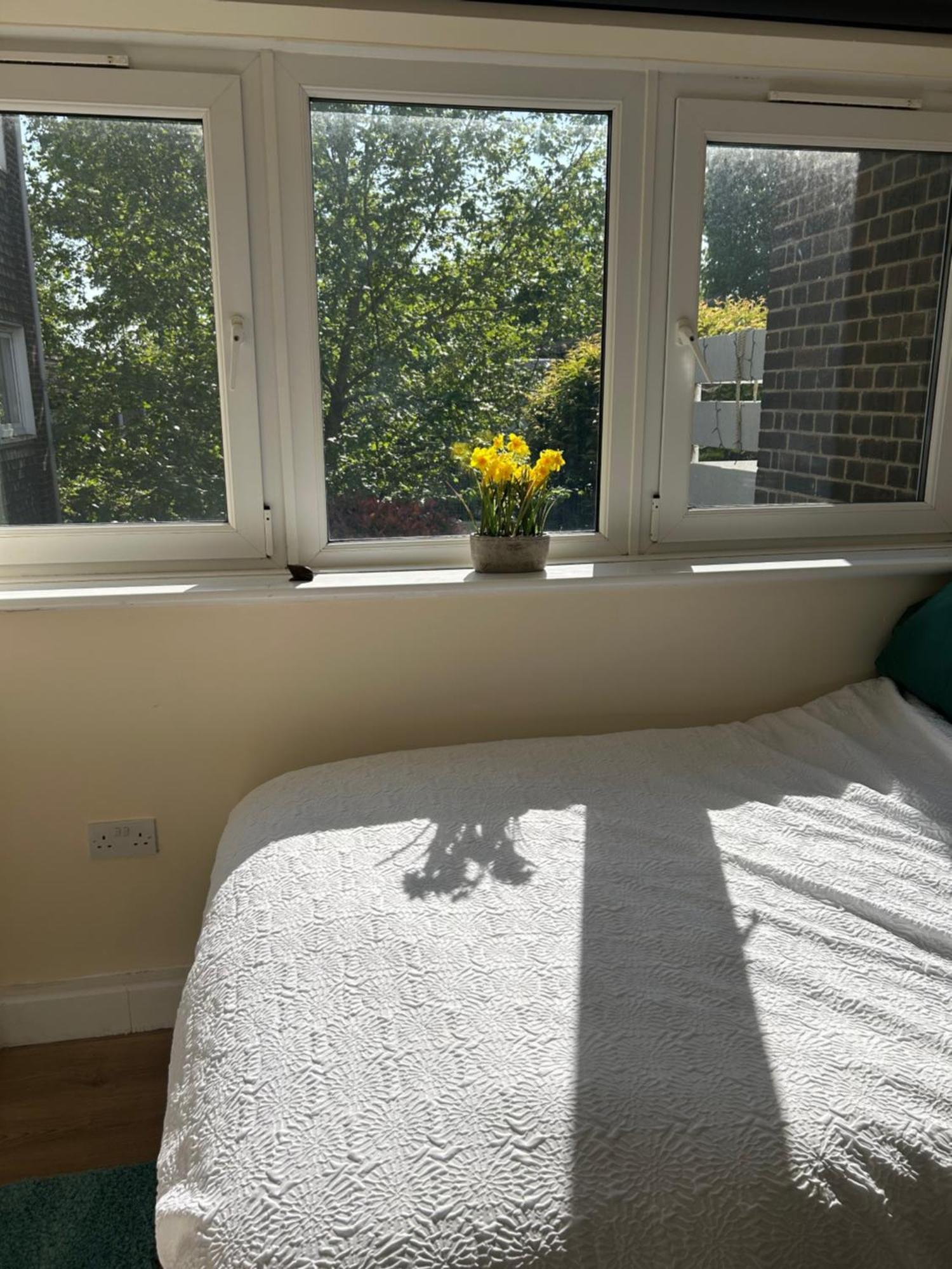1 Bedroom Near Wimbledon Lawn Tennis Museum Apartment *